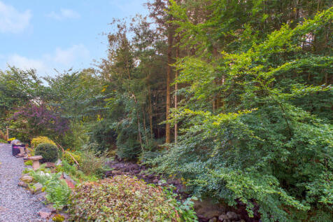 Terrace Garden