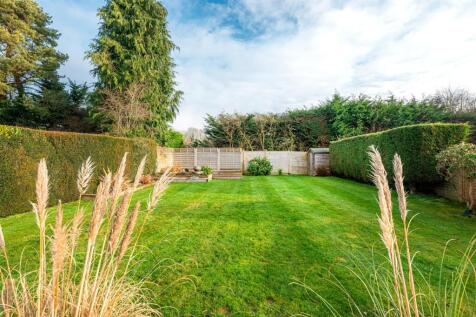 Rear Garden (1)