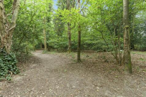 Woodland to the Rear