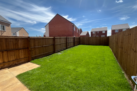 Back Garden 
