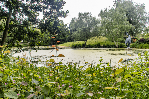 Property Image 22