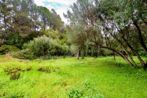 country house with pool in Sa Roca