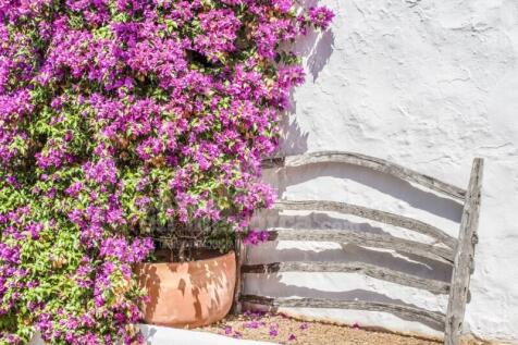 Details Menorcan Country House