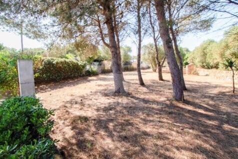Property Image 60