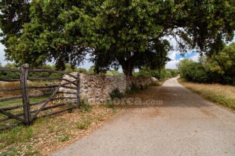 Licensed finca in Menorca