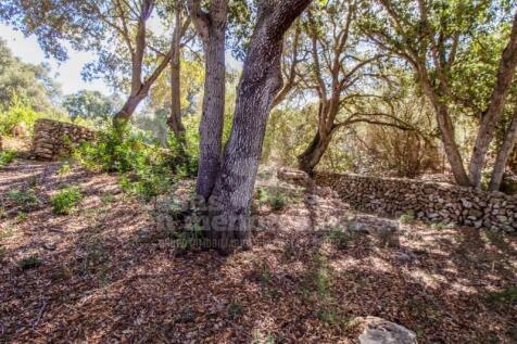 Country house in Mercadal