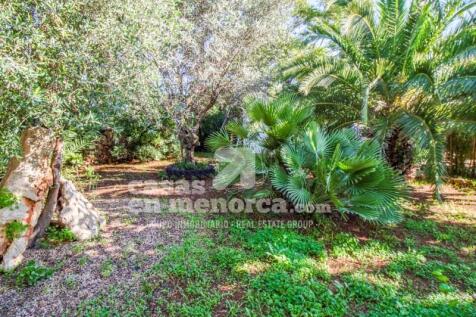 Country house in S'Ullestrar - Menorca