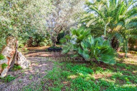 Country house in S'Ullestrar - Menorca