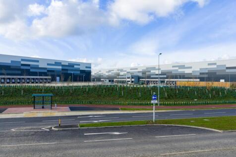 Eighty_Pan MK_20251113_0574.jpg