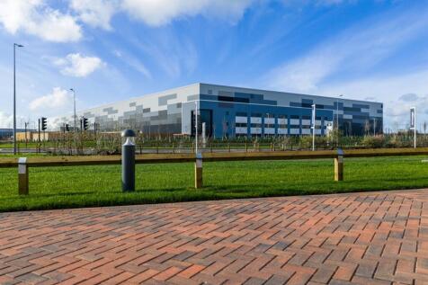 Eighty_Pan MK_20251113_0582.jpg