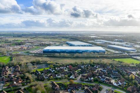 Eighty_Pan MK_20251113_0527.jpg