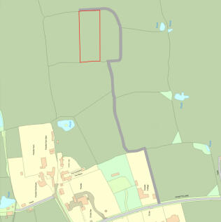Redwood Outline