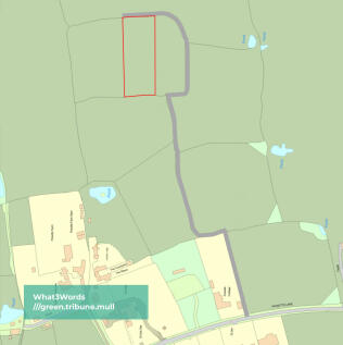 Redwood Outline