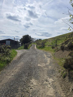 Track (2)