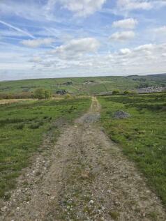 Track (3)