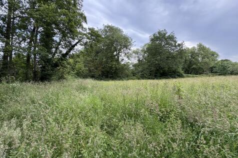 IMG_0650.JPEG