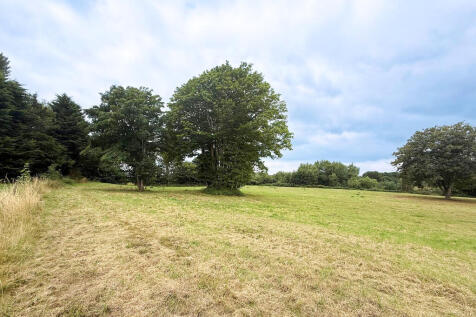 Land Image