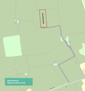 The Redwood Outline
