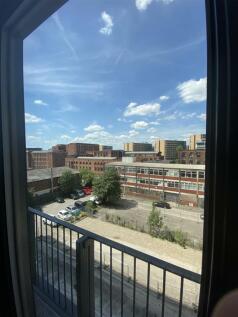 IMG_6878.jpg