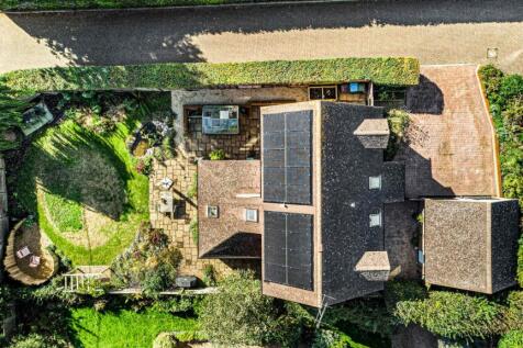 Birdseye