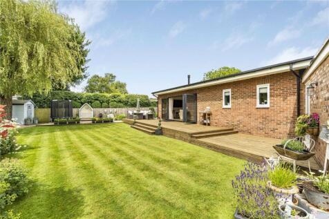 Summer Garden Views