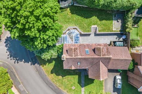 Birds Eye