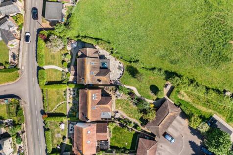 Birds Eye