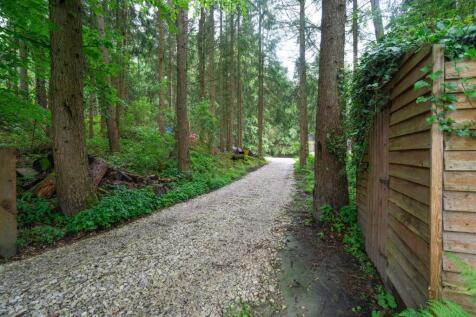 Garden extended-8.jpg