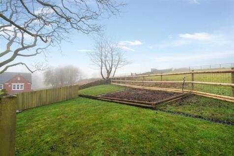 Garden-9.jpg