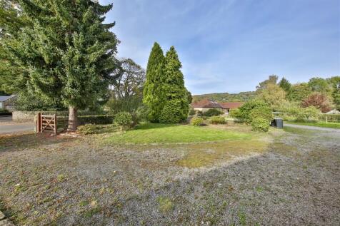 Front Garden2.jpg