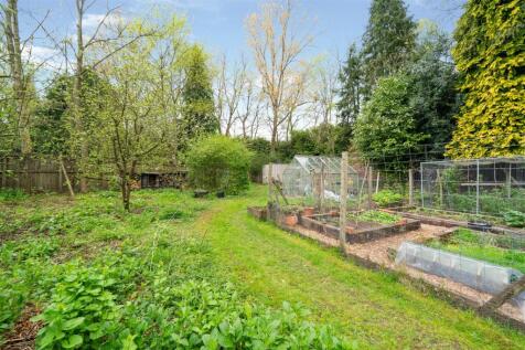 Garden-2.jpg