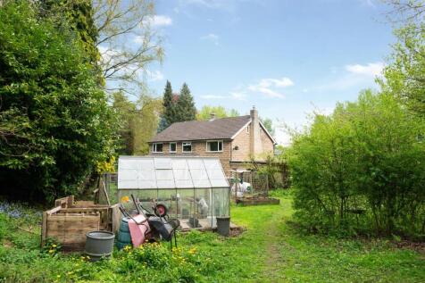 Garden-3.jpg