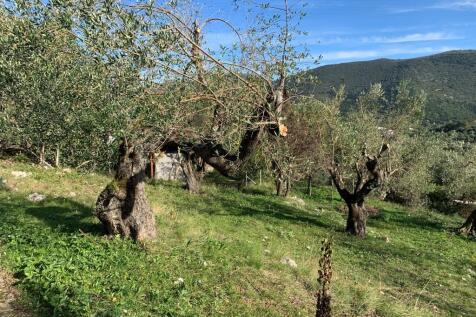 Terrain &amp; landscape