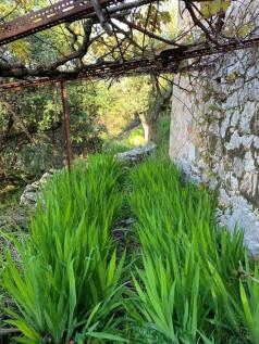 Stone terrace garden