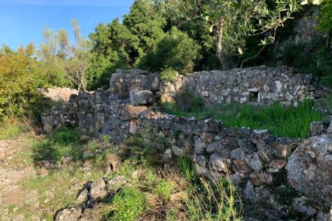Back garden &amp; ruins
