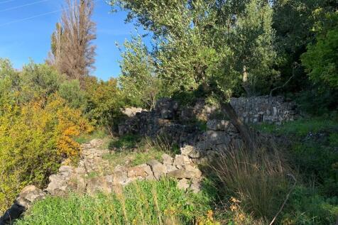 Back garden &amp; ruins