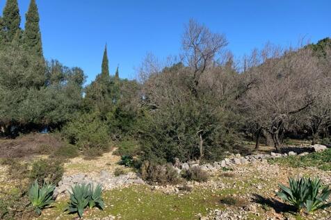 Landscape &amp; terrain