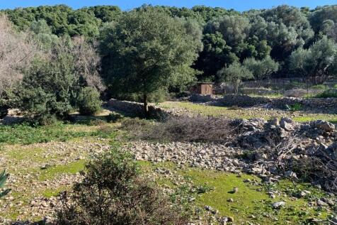 Landscape &amp; terrain