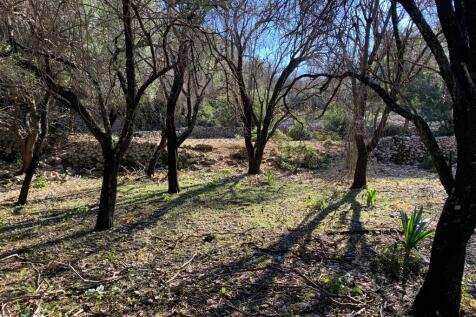 Landscape &amp; terrain