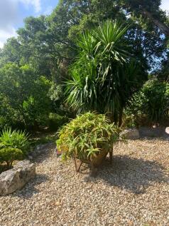 Garden detail