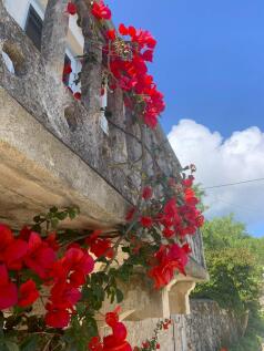 Flowers balcony