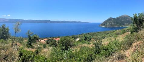 Panoramic view
