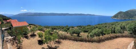 Panoramic view