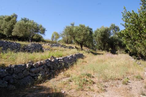 Terrain