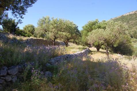 Terrain of plot