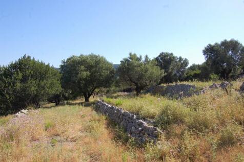Landscape of plot