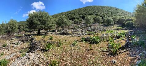 Panoramic view