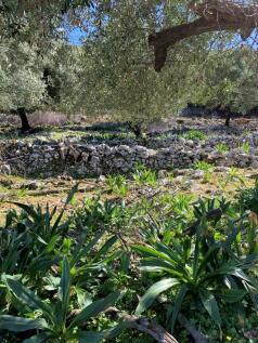 Landscape &amp; Terrain