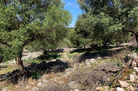 Landscape &amp; Terrain