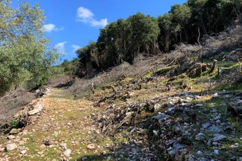Landscape &amp; Terrain